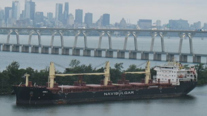 Появи се втора версия за намерения на борда кокаин на