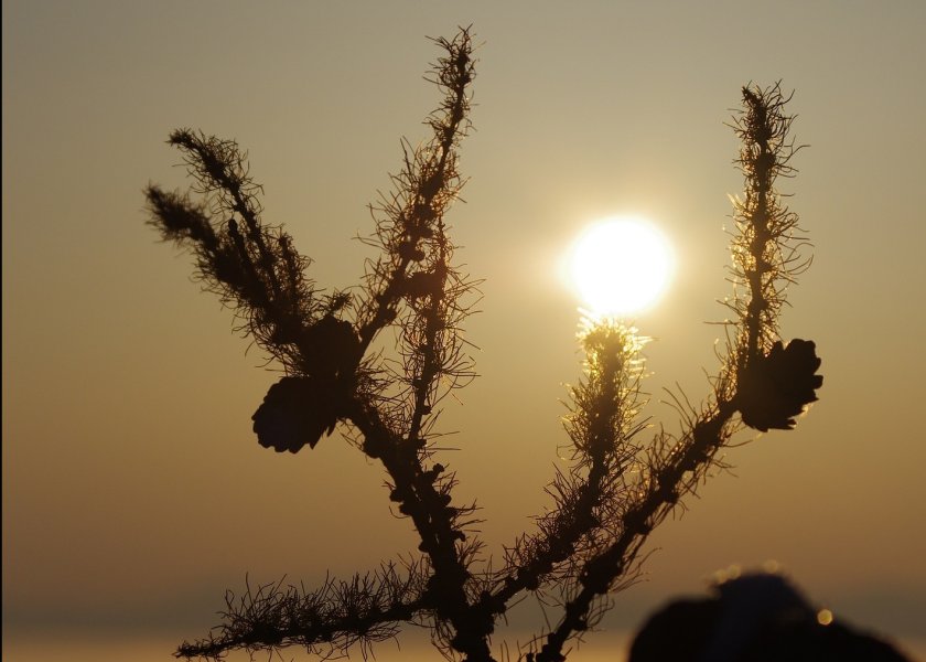 В близките часове в по-голямата част от страната ще бъде