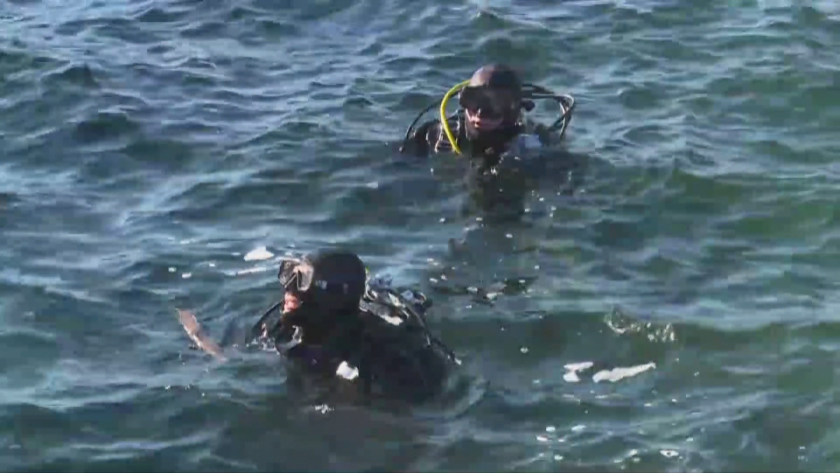 Преди Богоявление: Водолази от ВМС огледаха морското дъно във Варна