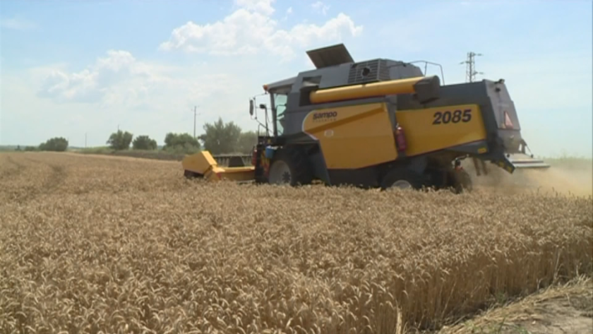 Очаква се изпълнителната власт да отговори на исканията на зърнопроизводителите