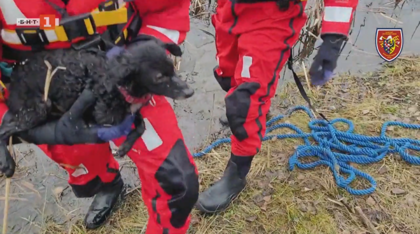 Пожарникари спасиха малко кученце от замръзнало езеро в Чехия
