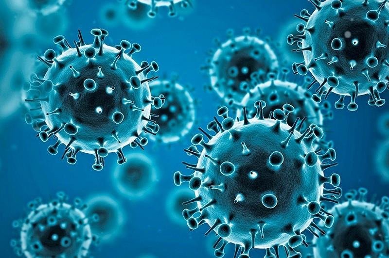 88 са новите случаи на коронавирус у нас през последните