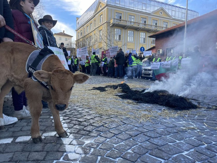 Недоволството в земеделието: Фермери протестираха пред МЗХ, други обсъждат какво да предприемат