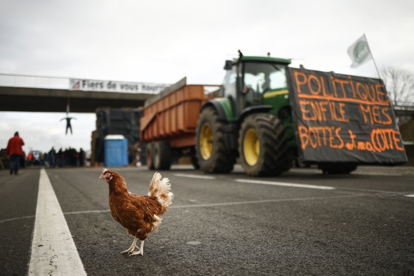 Фермерското недоволство в Европа се разраства - към протестиращите френски,