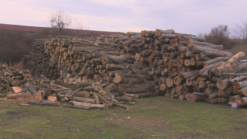 По-евтини дърва за огрев от следващия отоплителен сезон?