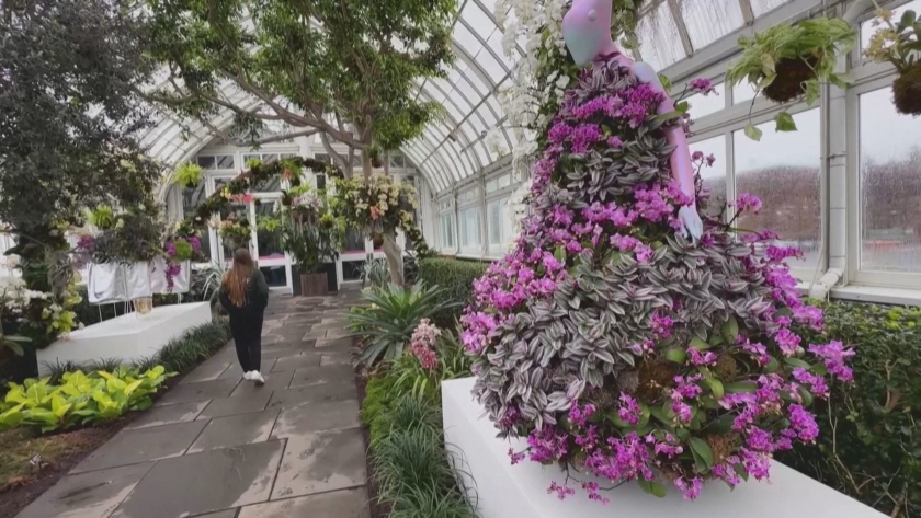 В Ню Йорк може да е зима, но хиляди орхидеи