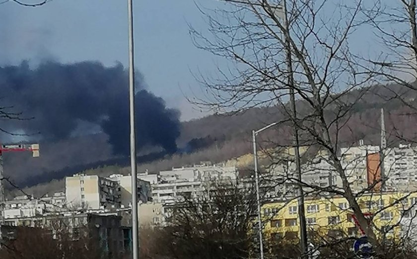 Пожар горя в района над варненския квартал Владислав Варненчик.Запалило се
