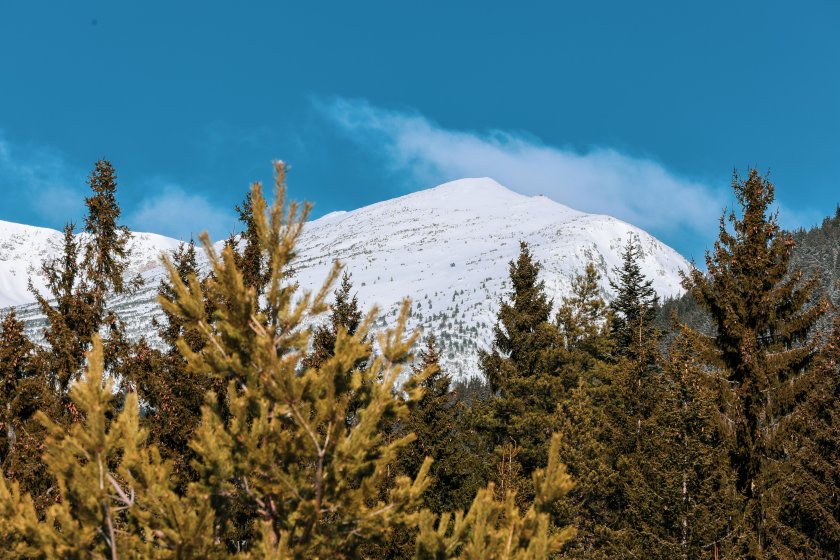 Минималните температури ще бъдат между 2° и 7°, в София