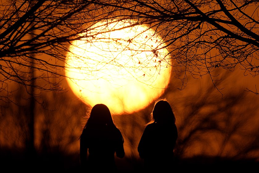 Февруари е бил най-топлият в съвременната история на човечеството (СНИМКИ)