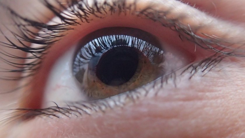 Безплатни прегледи във ВМА за глаукома