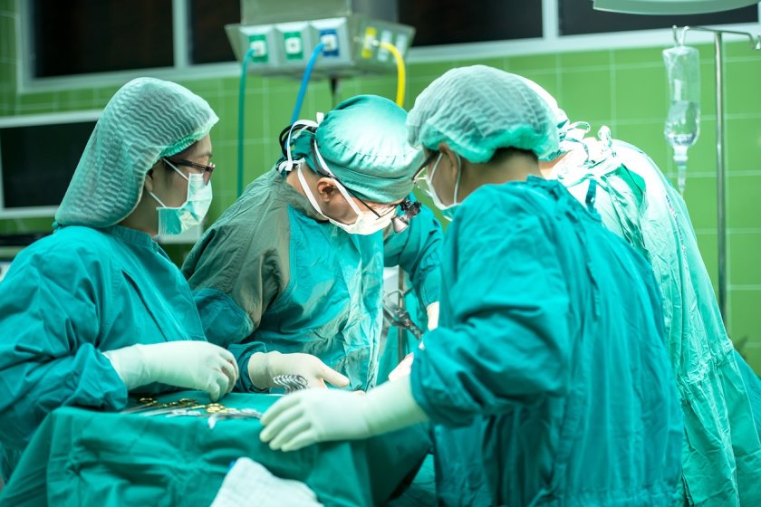 Снимка: Американски хирурзи трансплантираха свински бъбрек на пациент