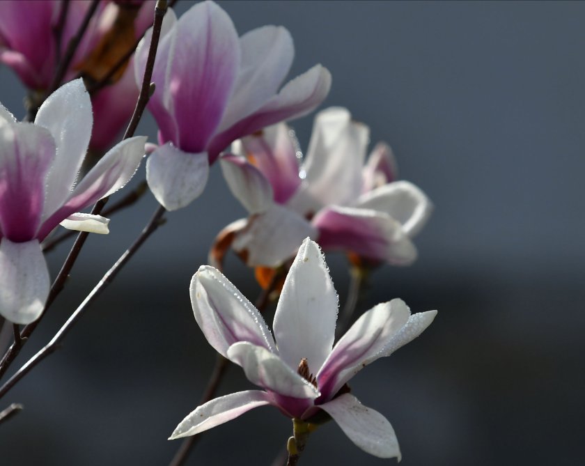 През деня ще има разкъсана облачност, над източната половина от