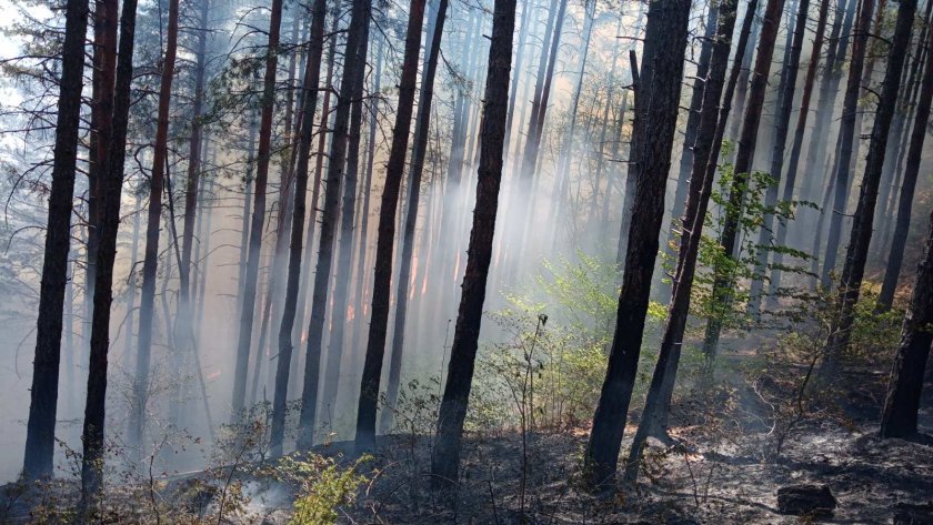 Подготовката за борба с пожарите в Югозападна България