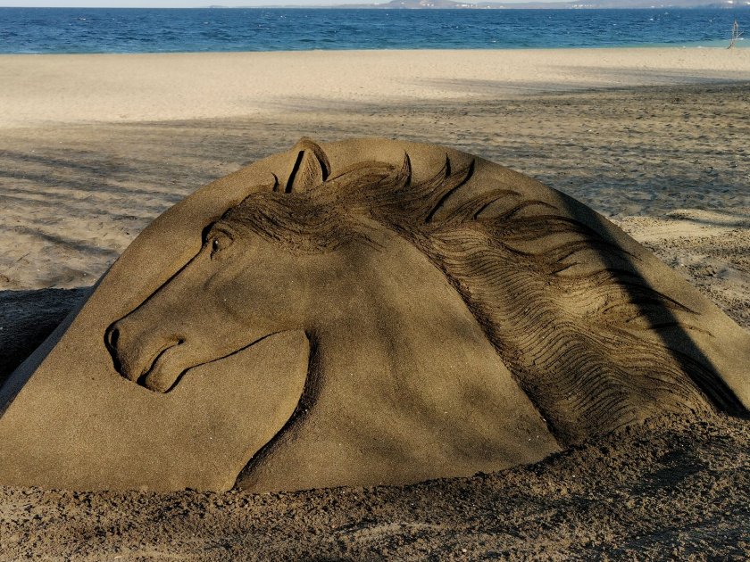 Снимка: За Тодоровден: Огромна конска глава от пясък се появи на плажа в Бургас