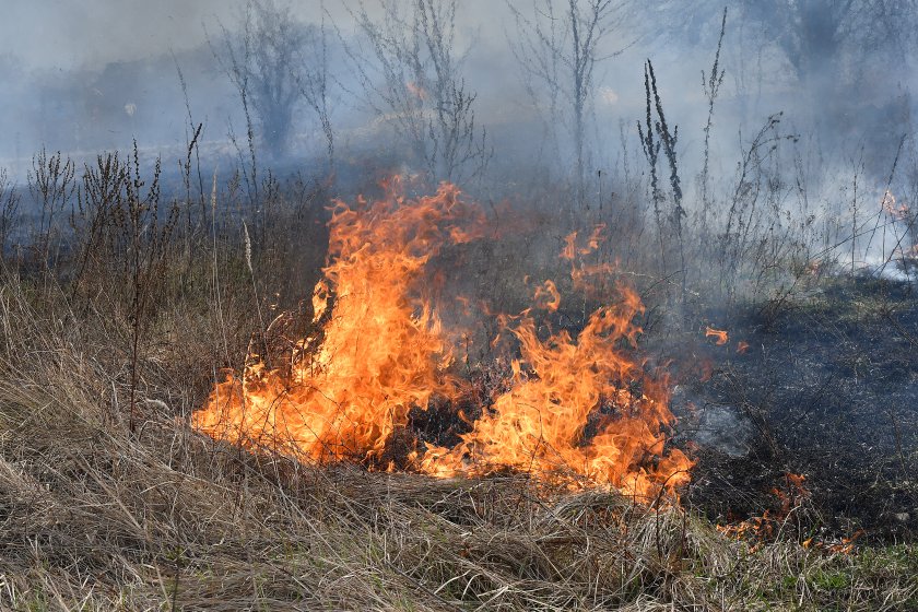 Пожар гори край Копривщица, съобщиха от МВР. Огънят пламнал вчера