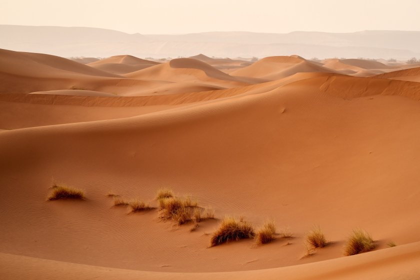 пустинята Сахара 