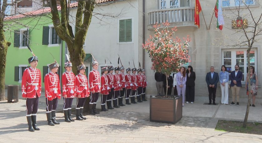 Младежи от 21 града на България имаха възможността да се