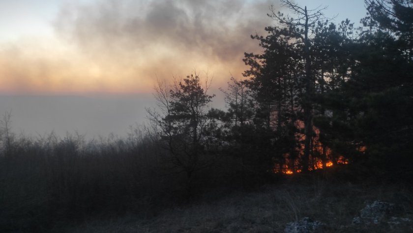 120 дка гора горят вече пети ден денвя снимки