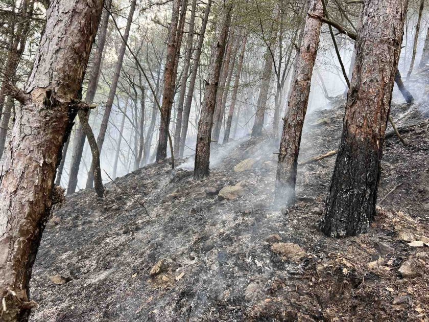 Голям пожар горя в землището на благоевградското село Крупник