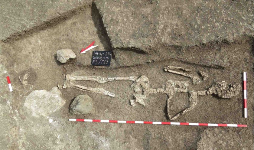 скелет гигант откриха археолози дебелт