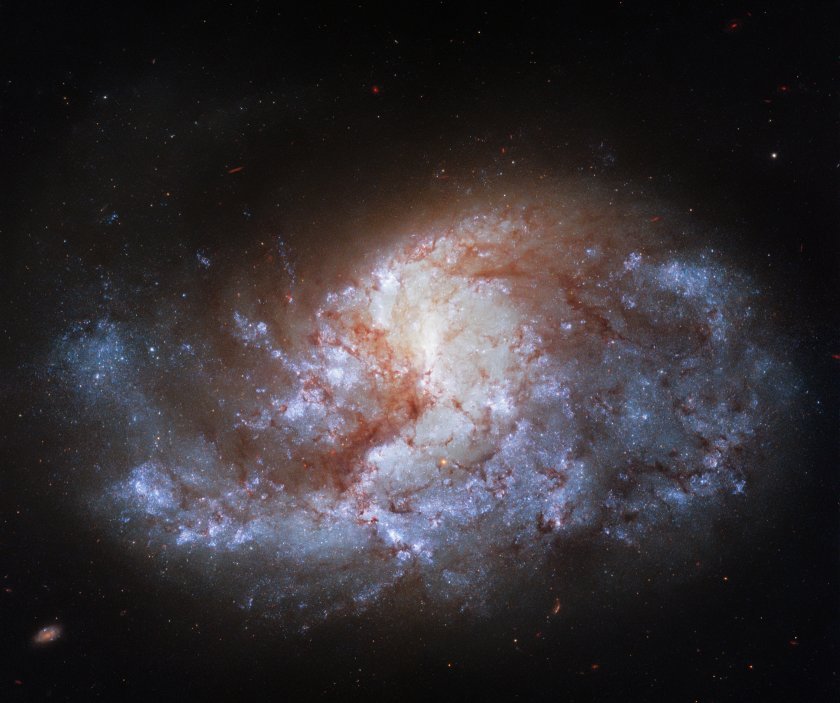 телескопът джеймс уеб откри отдалечената галактика наблюдавана