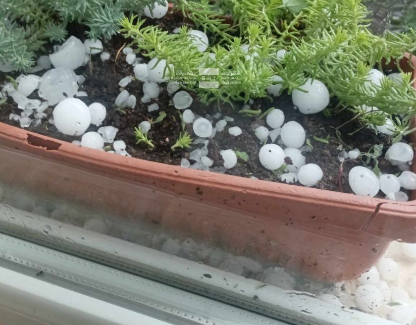 Градушка с големината на лешник е валяла близо половин час