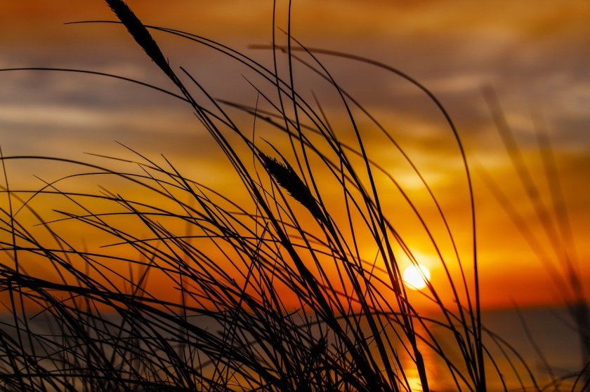 Райони с опасно горещо време в близките дни