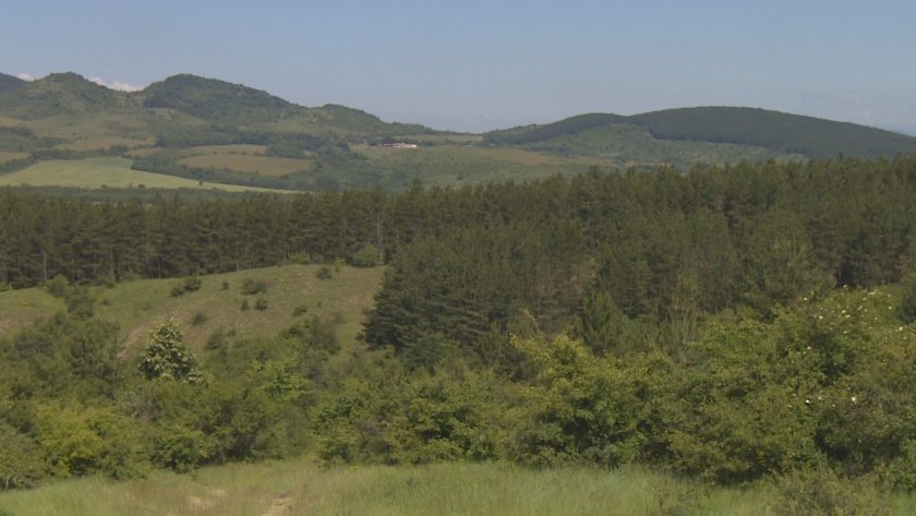 Днес в община Божурище освен избори 2 в 1 се