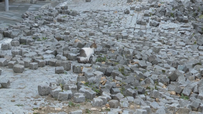 Шумен се възстановява след водното бедствие, което го сполетя в