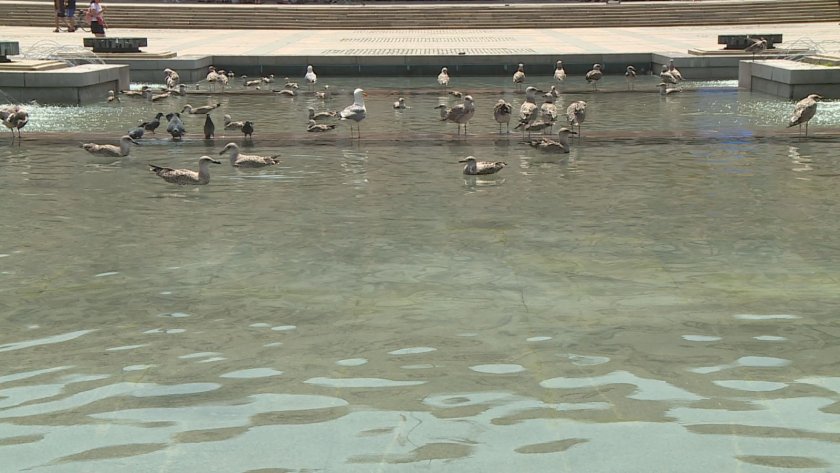 Температура от 39.7 на сянка отчетоха термометрите в Русе днес