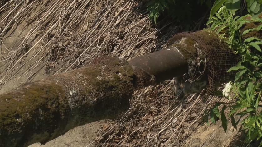 Поредно лято жителите на села в община Павликени остават без вода