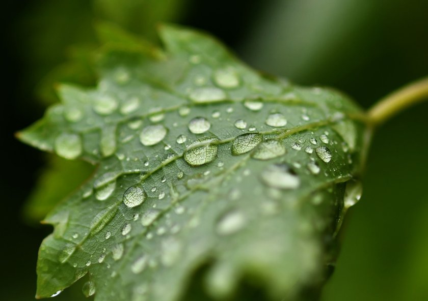 Днес ще е предимно слънчево. Около и след обяд главно