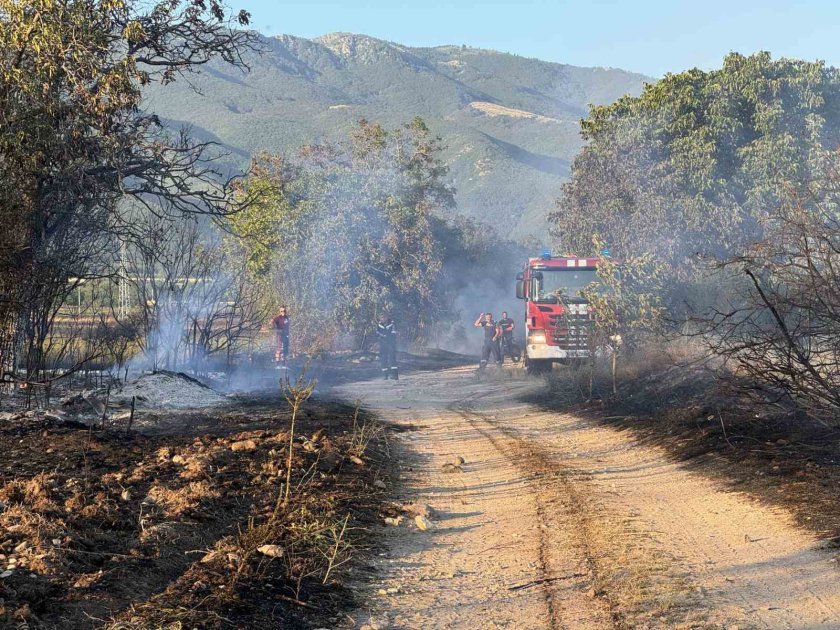 Пожарът между селата Розино и Кърнаре е овладян