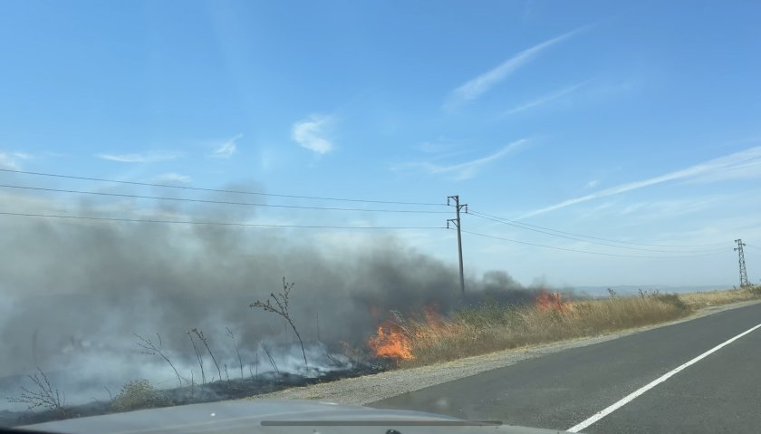 Голям пожар между бургаските села Димчево и Твърдица