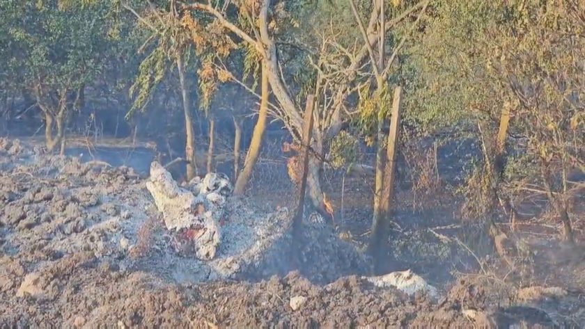 Нов голям пожар в Свиленградско заплашва да премине в Турция.Огънят