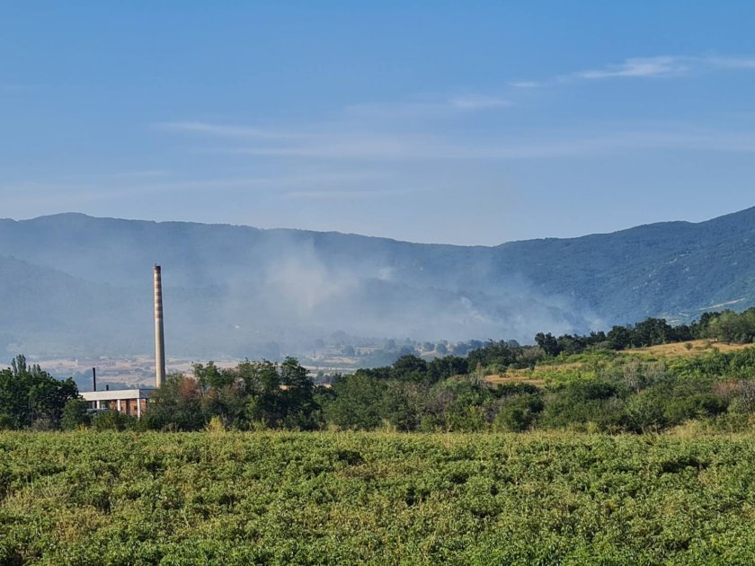 пожар бушува община брезово снимки