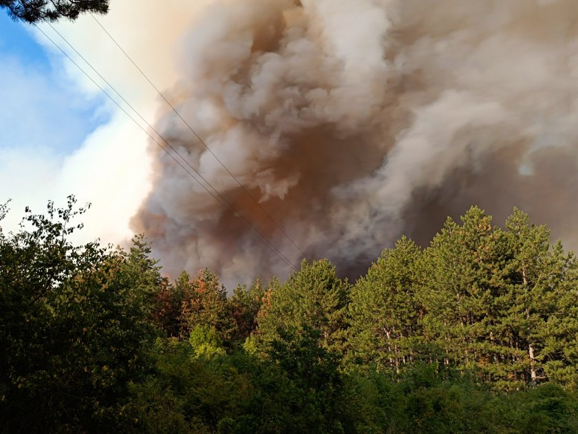 прокуратурата разследва причините големите пожари стара загора средна гора
