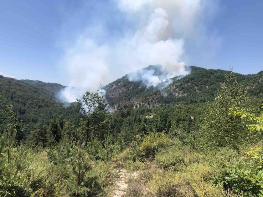 Локализиран е пожарът в Осоговската планина, продължава да гори на три места в РСМ
