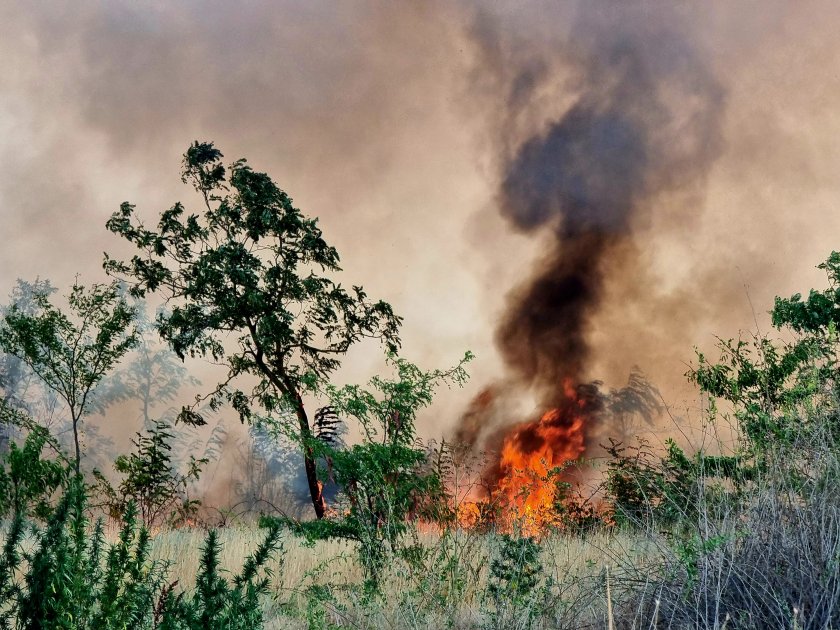 около 1500 декара гори унищожени големия пожар варненското село слънчево