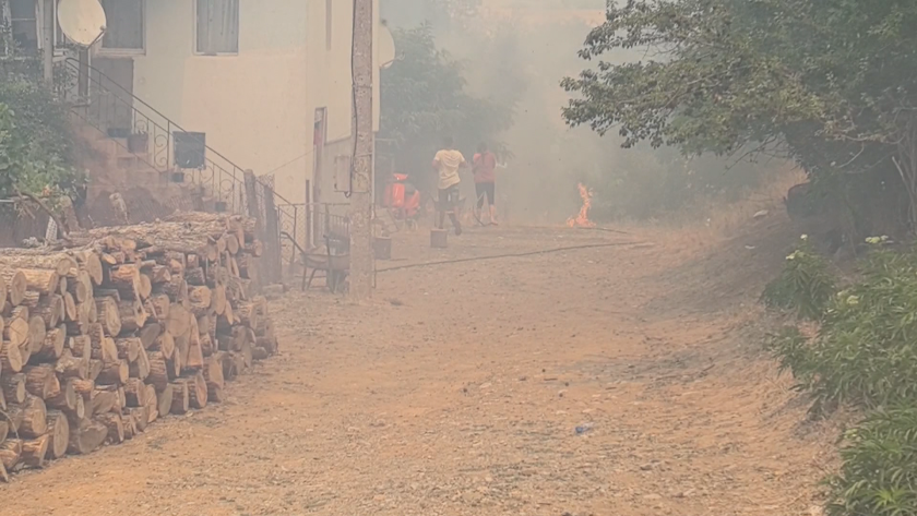 Ситуацията с пожарите в страната продължава да е критична. Цяла