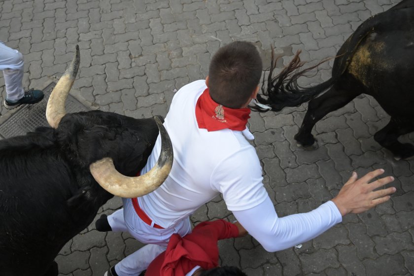 Традиционното надбягване с бикове се проведе в рамките на фестивала "Сан Фермин" (СНИМКИ)