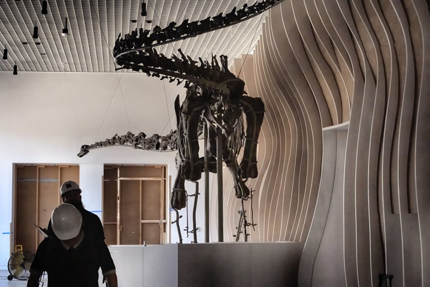 Показват вкаменелости от единствения открит динозавър със зелени кости (СНИМКИ)
