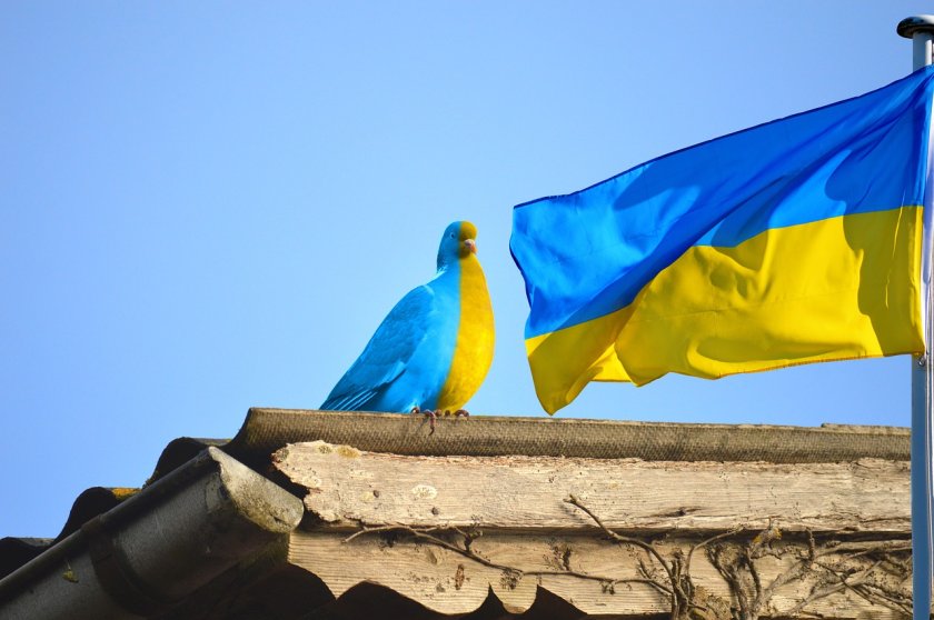 Пътят на Украйна към членство в Алианса е необратим