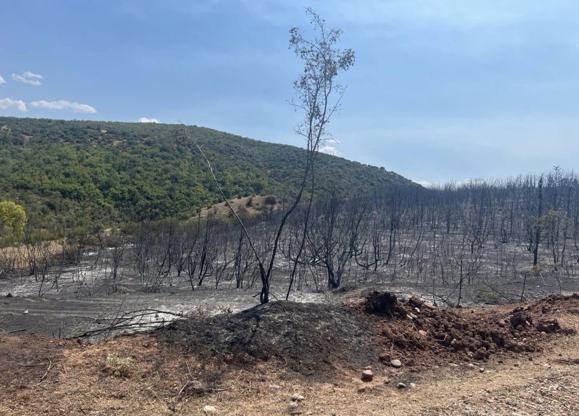 ограничен пожарът границата северна македония