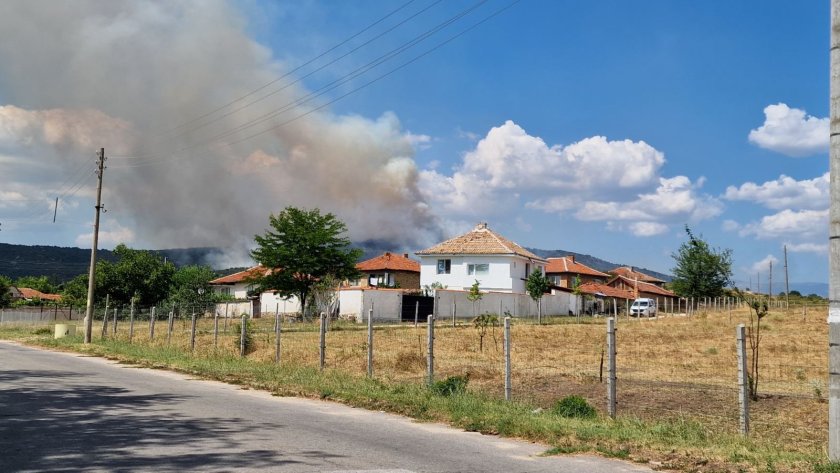 Огнената стихия изпепели 20 000 декара иглолистни гори в Хисаря и Калояново