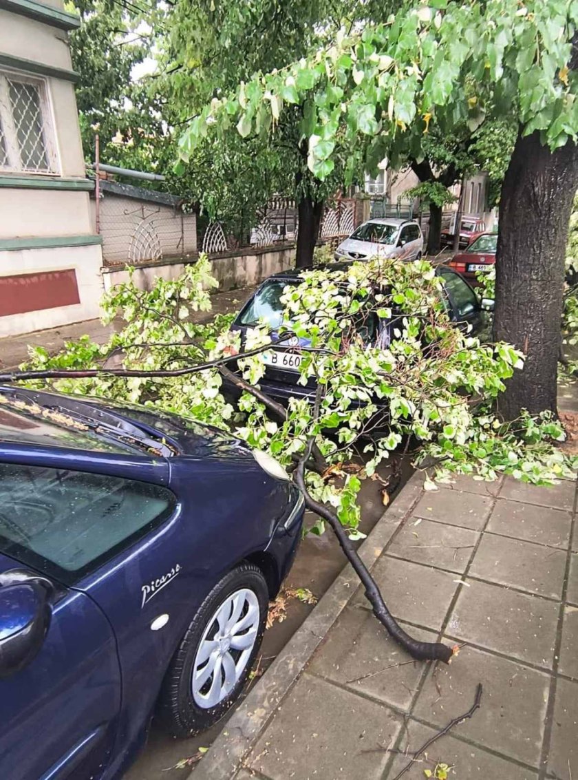 Силна буря нанесе щети във Варненско (СНИМКИ)