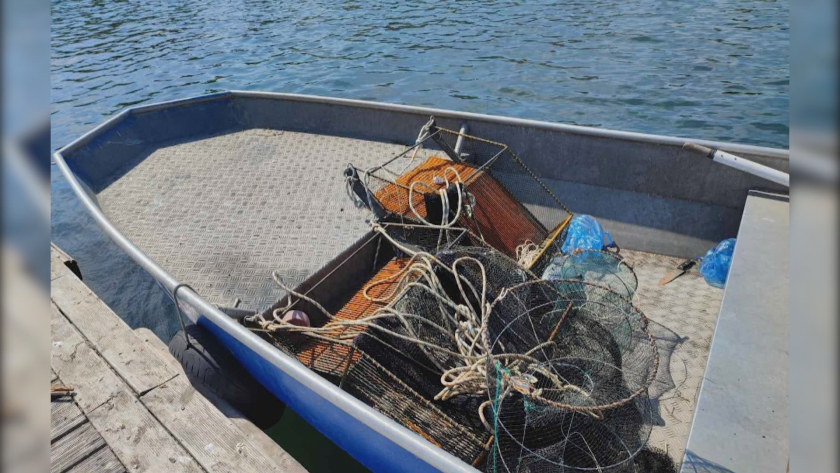 Масово залавят бракониери на бяла и черна мида по морето.