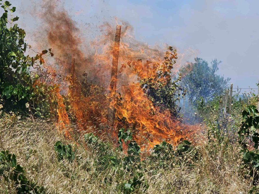 пожар избухна чирпанското село димитриево