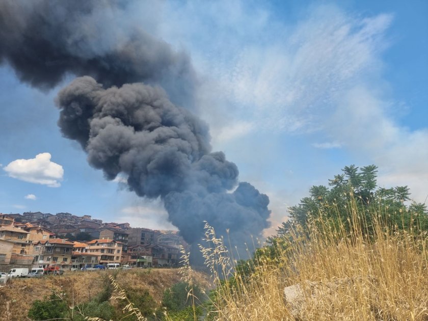 пожар ромски квартал Стара Загора