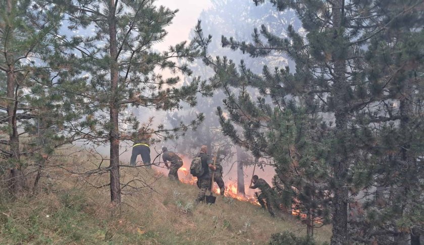 Спокойна е ситуацията с пожара на границата ни с Гърция, увери вътрешният министър